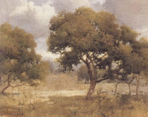 Early Meadow Landscape (mk42), Percy Gray
